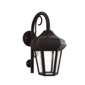 SNOC, OXFORD - WALL MOUNT DOWN WITH CANE OPEN BOTTOM SMALL 14893, OUTDOOR WALL LIGHTS
