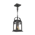 SNOC, SERIE 65E - CEILING MOUNT ON CHAIN SMALL FORMAT 16550, OUTDOOR CEILING LIGHT