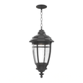 SNOC, PORTLAND - CEILING MOUNT WITH MEDIUM CHAIN 20255, OUTDOOR CEILING LIGHT