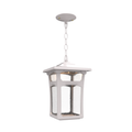 SNOC, LINCOLN - CEILING MOUNT WITH CHAIN OPEN BOTTOM MEDIUM FORMAT 20450, OUTDOOR CEILING LIGHT