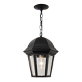 SNOC, STURBRIDGE - CEILING MOUNT WITH MEDIUM CHAIN 21350, OUTDOOR CEILING LIGHT