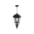 SNOC, JAMESTOWN - CEILING MOUNT WITH CHAIN CLOSED BOTTOM MEDIUM FORMAT 21455, OUTDOOR CEILING LIGHT