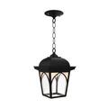 SNOC, HABITAT - CEILING MOUNTING WITH CHAIN OPEN BOTTOM MEDIUM FORMAT 21550, OUTDOOR CEILING LIGHT