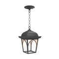 SNOC, HABITAT - CEILING MOUNTING WITH CHAIN OPEN BOTTOM MEDIUM FORMAT 21550, OUTDOOR CEILING LIGHT