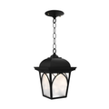 SNOC, HABITAT - CEILING MOUNTING WITH CHAIN OPEN BOTTOM MEDIUM FORMAT 21550, OUTDOOR CEILING LIGHT