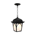 SNOC, HABITAT - CEILING MOUNTING WITH CHAIN OPEN BOTTOM MEDIUM FORMAT 21550, OUTDOOR CEILING LIGHT