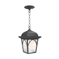 SNOC, HABITAT - CEILING MOUNTING WITH CHAIN OPEN BOTTOM MEDIUM FORMAT 21550, OUTDOOR CEILING LIGHT