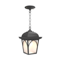 SNOC, HABITAT - CEILING MOUNTING WITH CHAIN OPEN BOTTOM MEDIUM FORMAT 21550, OUTDOOR CEILING LIGHT