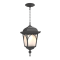 SNOC, HABITAT - CEILING MOUNTING WITH CHAIN CLOSED BOTTOM MEDIUM FORMAT 21555, OUTDOOR CEILING LIGHT