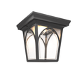SNOC, HABITAT - LARGE CEILING LAMP 21570, OUTDOOR CEILING LIGHT