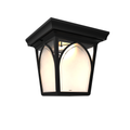 SNOC, HABITAT - LARGE CEILING LAMP 21570, OUTDOOR CEILING LIGHT