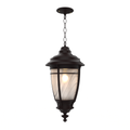 SNOC, PORTLAND - CEILING MOUNT WITH MEDIUM CHAIN 22055, OUTDOOR CEILING LIGHT