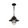 SNOC, SAN FRANCISCO - CHAIN CEILING MOUNT WITH MEDIUM GLOBE AND GRILLE 22250, OUTDOOR CEILING LIGHT