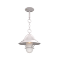SNOC, SAN FRANCISCO - CHAIN CEILING MOUNT WITH MEDIUM GLOBE AND GRILLE 22250, OUTDOOR CEILING LIGHT