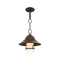 SNOC, SAN FRANCISCO - CHAIN CEILING MOUNT WITH MEDIUM GLOBE AND GRILLE 22250, OUTDOOR CEILING LIGHT