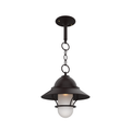 SNOC, SAN FRANCISCO - CHAIN CEILING MOUNT WITH MEDIUM GLOBE AND GRILLE 22250, OUTDOOR CEILING LIGHT