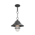 SNOC, SAN FRANCISCO - CHAIN CEILING MOUNT WITH MEDIUM GLOBE AND GRILLE 22250, OUTDOOR CEILING LIGHT