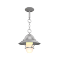 SNOC, SAN FRANCISCO - CHAIN CEILING MOUNT WITH MEDIUM GLOBE AND GRILLE 22250, OUTDOOR CEILING LIGHT