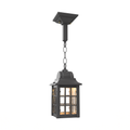 SNOC, CONCORDE - CHAIN CEILING MOUNT MEDIUM 22550, OUTDOOR CEILING LIGHT