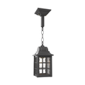 SNOC, CONCORDE - CHAIN CEILING MOUNT MEDIUM 22550, OUTDOOR CEILING LIGHT