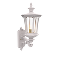 SNOC, WESTMINSTER - WALL MOUNTED DECORATIVE ARM UP MEDIUM 23514, OUTDOOR WALL LIGHTS