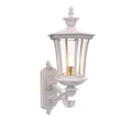 SNOC, WESTMINSTER - WALL MOUNTED DECORATIVE ARM UP MEDIUM 23514, OUTDOOR WALL LIGHTS