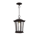 SNOC, WESTMINSTER - CEILING MOUNTING WITH CHAIN OPEN BOTTOM MEDIUM FORMAT 23550, OUTDOOR CEILING LIGHT
