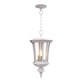 SNOC, WESTMINSTER - CEILING MOUNTING WITH CHAIN CLOSED BOTTOM MEDIUM FORMAT 23555, OUTDOOR CEILING LIGHT