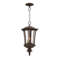 SNOC, WESTMINSTER - CEILING MOUNTING WITH CHAIN CLOSED BOTTOM MEDIUM FORMAT 23555, OUTDOOR CEILING LIGHT