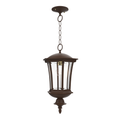 SNOC, WESTMINSTER - CEILING MOUNTING WITH CHAIN CLOSED BOTTOM MEDIUM FORMAT 23555, OUTDOOR CEILING LIGHT
