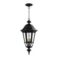 SNOC, FLORENCE - CEILING MOUNTING WITH MEDIUM CHAIN 23755, OUTDOOR CEILING LIGHT