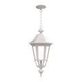 SNOC, FLORENCE - CEILING MOUNTING WITH MEDIUM CHAIN 23755, OUTDOOR CEILING LIGHT