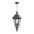 SNOC, FLORENCE - CEILING MOUNTING WITH MEDIUM CHAIN 23755, OUTDOOR CEILING LIGHT