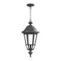 SNOC, FLORENCE - CEILING MOUNTING WITH MEDIUM CHAIN 23755, OUTDOOR CEILING LIGHT