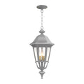 SNOC, FLORENCE - CEILING MOUNTING WITH MEDIUM CHAIN 23755, OUTDOOR CEILING LIGHT