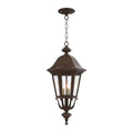 SNOC, FLORENCE - CEILING MOUNTING WITH MEDIUM CHAIN 23755, OUTDOOR CEILING LIGHT
