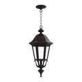 SNOC, FLORENCE - CEILING MOUNTING WITH MEDIUM CHAIN 23755, OUTDOOR CEILING LIGHT
