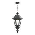 SNOC, FLORENCE - CEILING MOUNTING WITH MEDIUM CHAIN 23755, OUTDOOR CEILING LIGHT