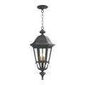 SNOC, FLORENCE - CEILING MOUNTING WITH MEDIUM CHAIN 23755, OUTDOOR CEILING LIGHT