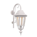 SNOC, FLORENCE - WALL-MOUNTED DOWNWARDS WITH CANE CLOSED BOTTOM MEDIUM FORMAT 23798, OUTDOOR WALL LIGHTS