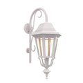 SNOC, FLORENCE - WALL-MOUNTED DOWNWARDS WITH CANE CLOSED BOTTOM MEDIUM FORMAT 23798, OUTDOOR WALL LIGHTS