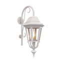 SNOC, FLORENCE - WALL-MOUNTED DOWNWARDS WITH CANE CLOSED BOTTOM MEDIUM FORMAT 23798, OUTDOOR WALL LIGHTS