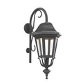 SNOC, FLORENCE - WALL-MOUNTED DOWNWARDS WITH CANE CLOSED BOTTOM MEDIUM FORMAT 23798, OUTDOOR WALL LIGHTS