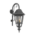 SNOC, FLORENCE - WALL-MOUNTED DOWNWARDS WITH CANE CLOSED BOTTOM MEDIUM FORMAT 23798, OUTDOOR WALL LIGHTS