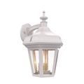 SNOC, OXFORD - WALL MOUNT DOWNWARDS OPEN BOTTOM MEDIUM FORMAT 24821, OUTDOOR WALL LIGHTS