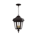 SNOC, OXFORD - CEILING MOUNT WITH CHAIN CLOSED BOTTOM MEDIUM FORMAT 24855, OUTDOOR CEILING LIGHT