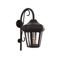 SNOC, OXFORD - WALL MOUNT DOWN WITH CANE OPEN BOTTOM MEDIUM 24893, OUTDOOR WALL LIGHTS