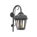 SNOC, OXFORD - WALL MOUNT DOWN WITH CANE OPEN BOTTOM MEDIUM 24893, OUTDOOR WALL LIGHTS