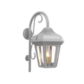SNOC, OXFORD - WALL MOUNT DOWN WITH CANE OPEN BOTTOM MEDIUM 24893, OUTDOOR WALL LIGHTS