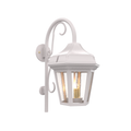 SNOC, OXFORD - WALL MOUNT DOWN WITH CANE OPEN BOTTOM MEDIUM 24893, OUTDOOR WALL LIGHTS